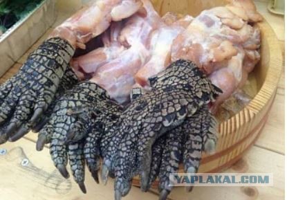 Где Варвара?