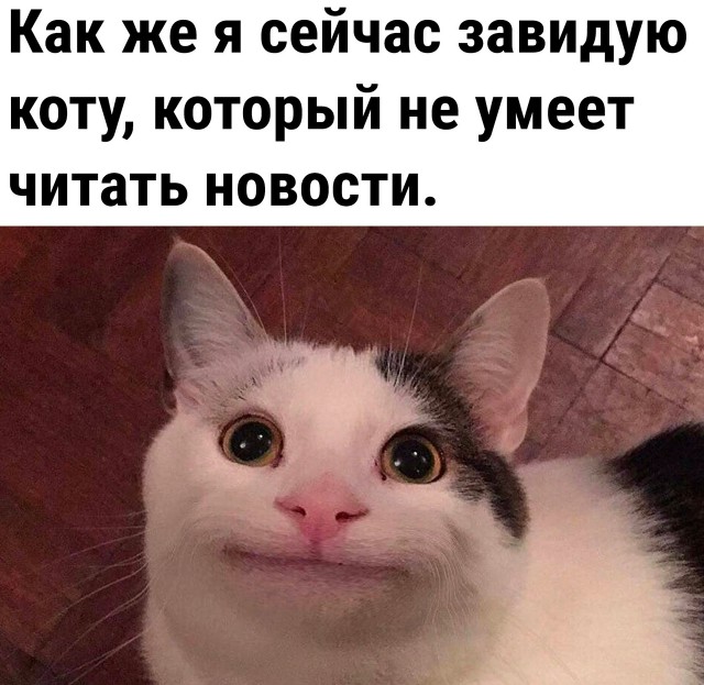 Немного картинок для настроения - 105