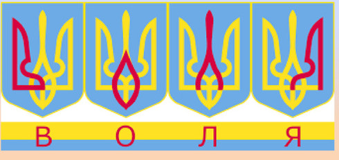 Ликвидация террористов, готовивших теракты в Воронеже. Видео.