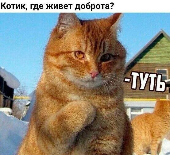 Прикольные и просто красивые картинки 10.01.2023