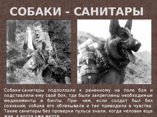 Редкие кадры и архивные снимки 01.02.23