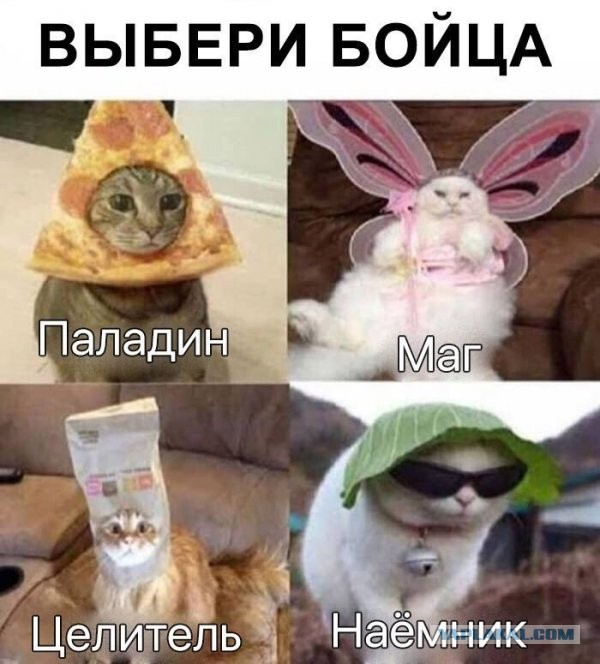 Немного картинок для настроения - 133