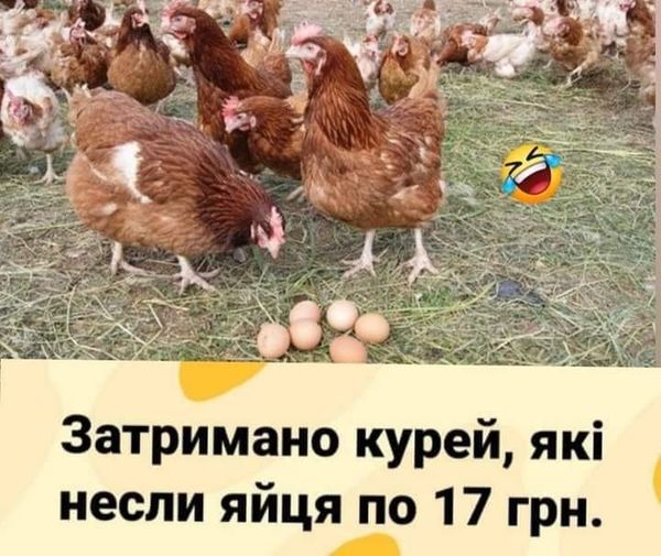 Победная поступь идиотизма по планете – том 8