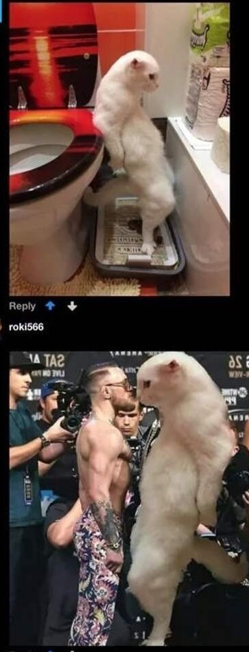 Нуштош 11.02.23