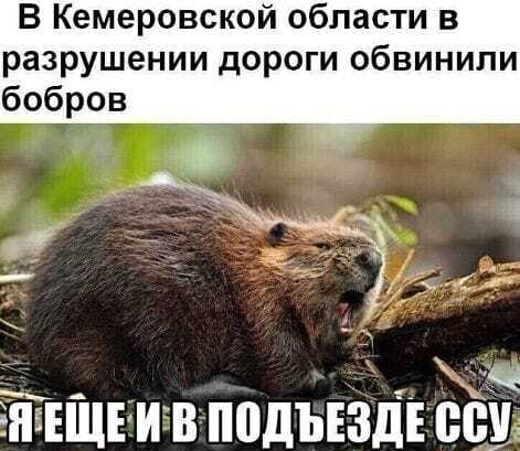 Юмор в картинках и без 17.05.23