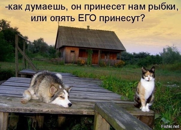 Весёлый полтишок 23.07.23