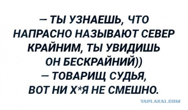 Как не быть крайним. Как не быть крайним. Кушать или есть как правильно. Крайний или последний. Стрелочник карикатура.
