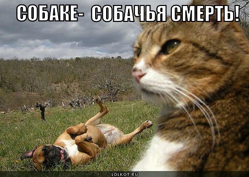 В зоне СВО сдох серийный убийца Денис Александрович Зубов
