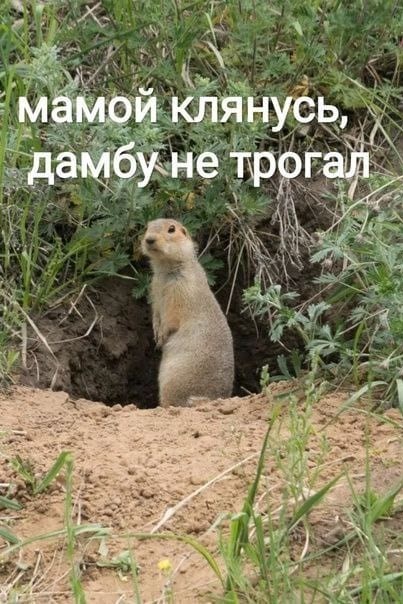 Лоза удивлён новостям первого канала