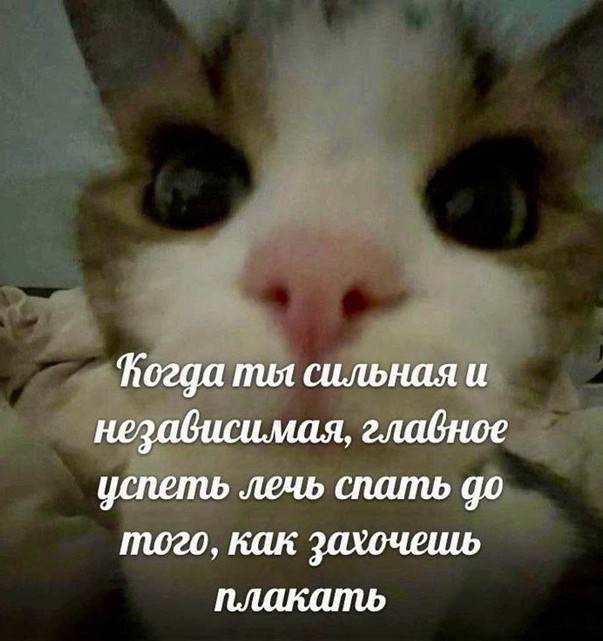 Всего понемногу. От 27.06.2024