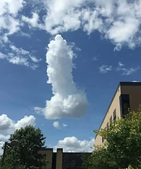 ФотоВинегрет