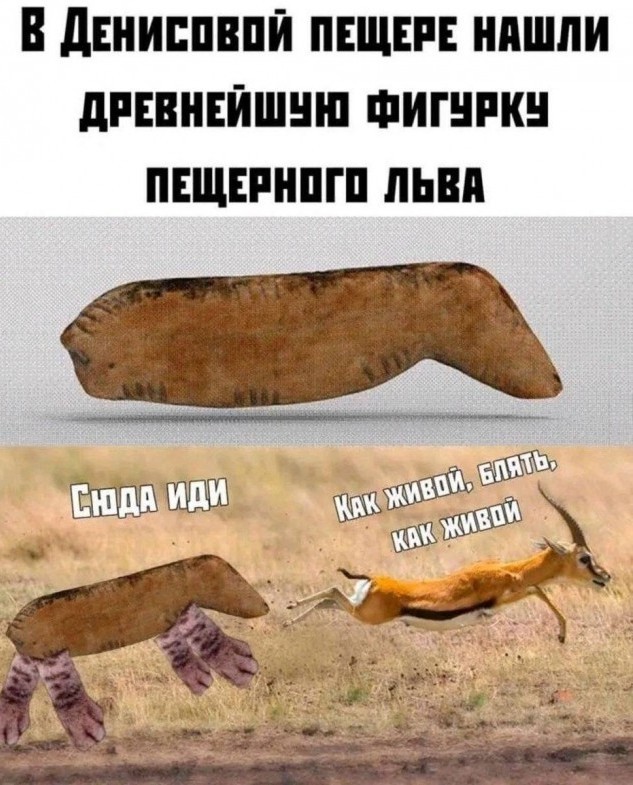 Сибирский Симба: в вечной мерзлоте Якутии нашли останки саблезубого котёнка