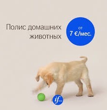 Кипит мой разум, пля. Ч. хз как по счету...