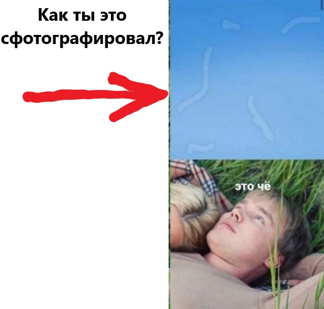 Веселые картинки в понедельник (10.02)