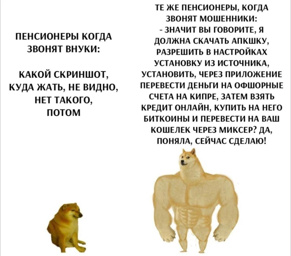 Картинки, своеобразного юмора