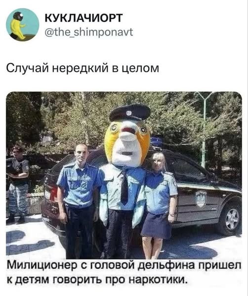 Так себе картинки 28.08.25