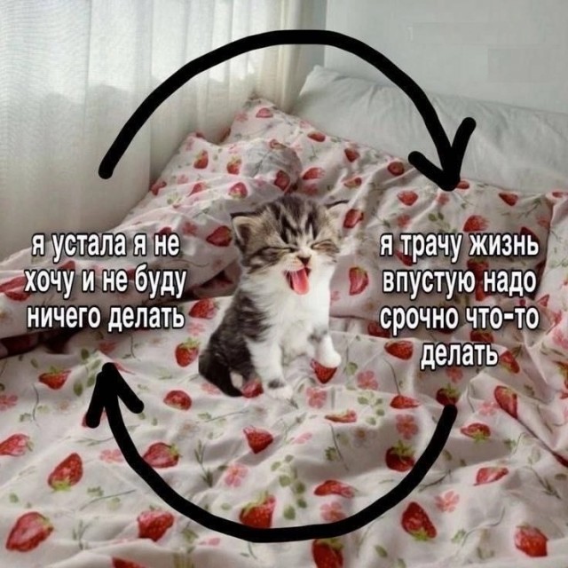 Подборка картинок-баянов с котиками и про котиков. Выпуск 21