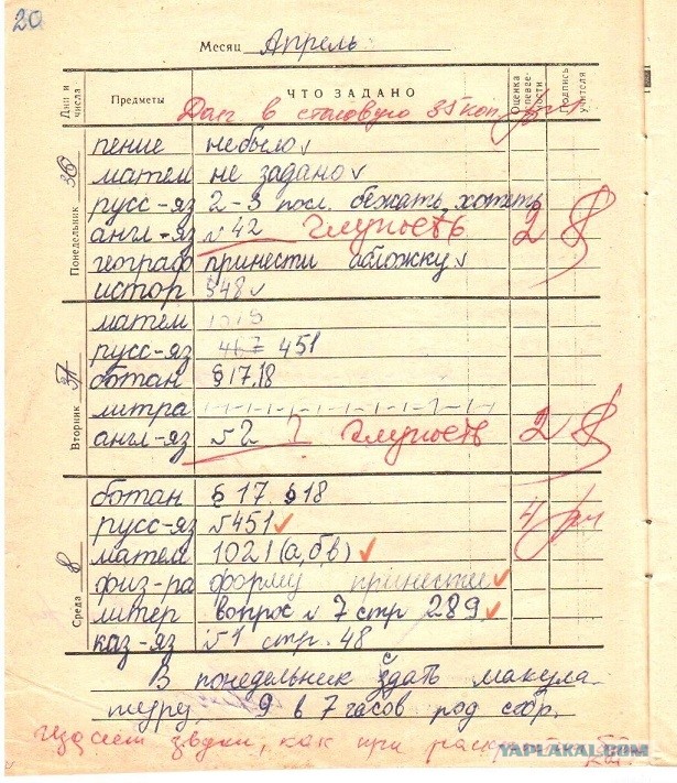 Розы гибнут на газонах...