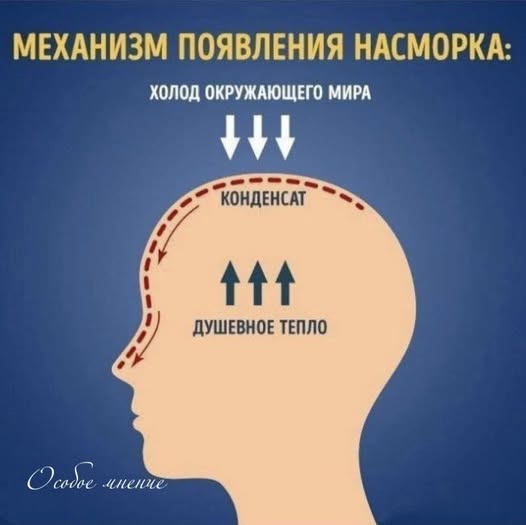 Маленькая пятница 24.12