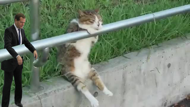 И снова ОН