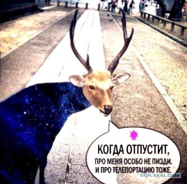 Знаковые документы об НЛО, тайно вывезенные из России 30 лет назад