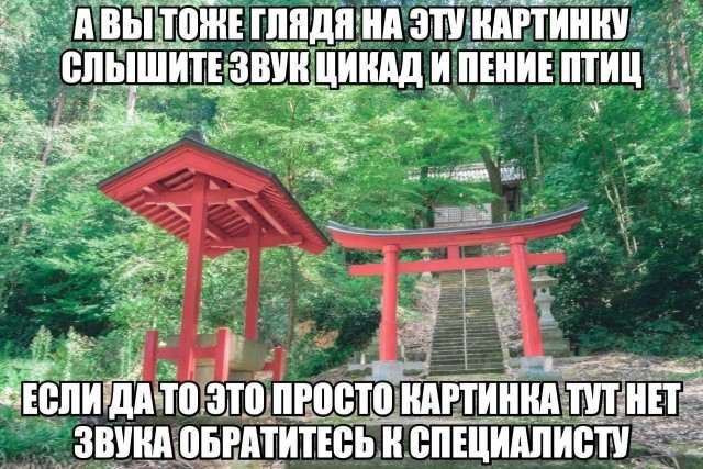 Картинки для деградации 138 (разной степени свежести)