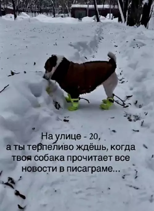 Картиночки, баянчики 21 февраля