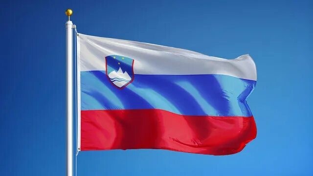 Совладелец одного из крупнейших банков Украины ополчился на флаг с панславянской расцветкой