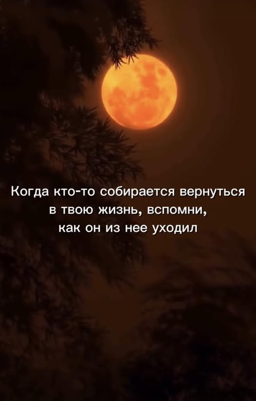 Так себе картинки 19.03.26