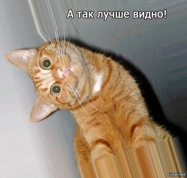 Подарок от РЖД.
