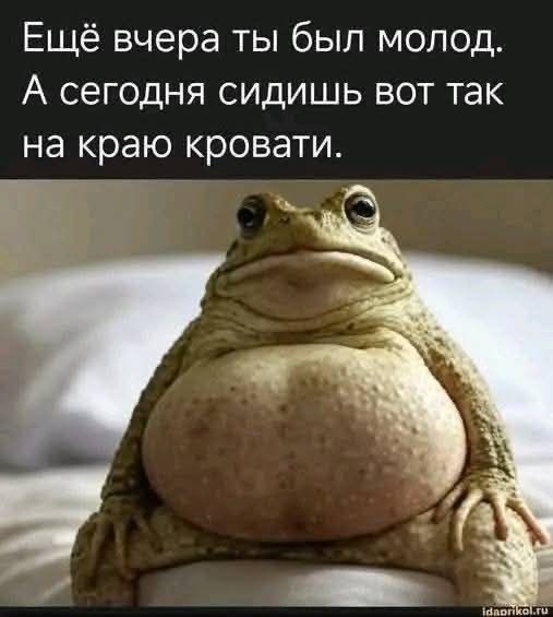 Доброе утро.
