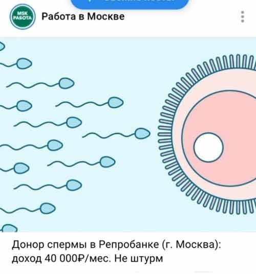 Веселые картинки в пятницу (16.10)