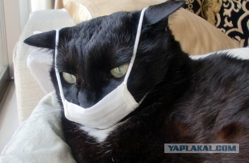 Поддержка и взаимовыручка