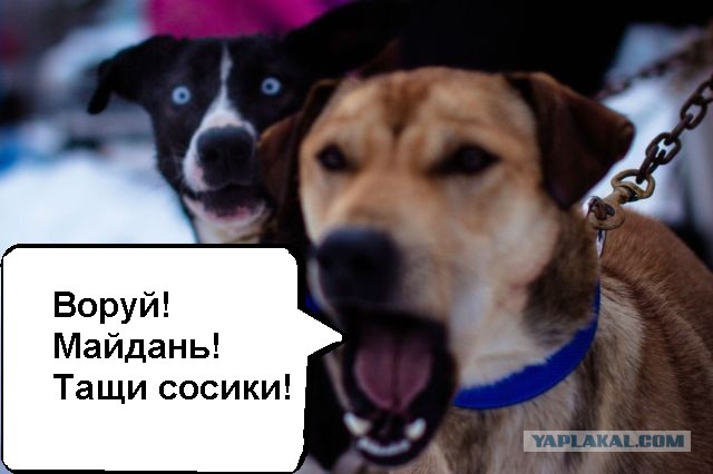 Кличко обиделся