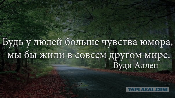 Весёлые картинки. Разбавим будни