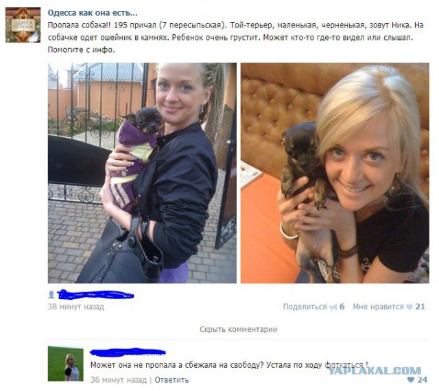 Комменты