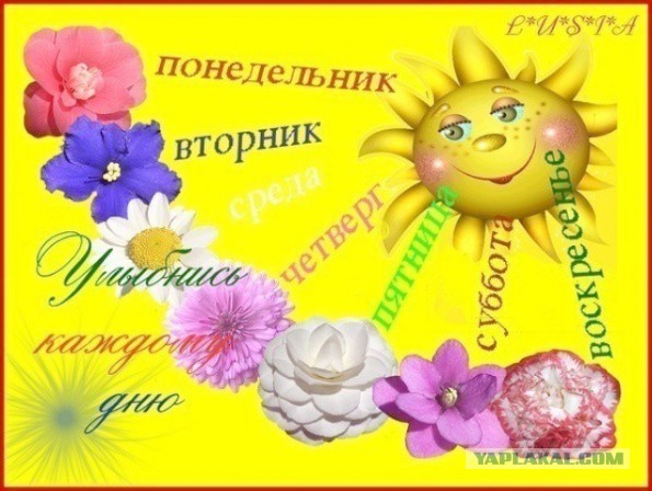 Чёрт, чёрт, чёрт!
