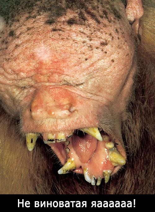 Гнида Руслана переобувается