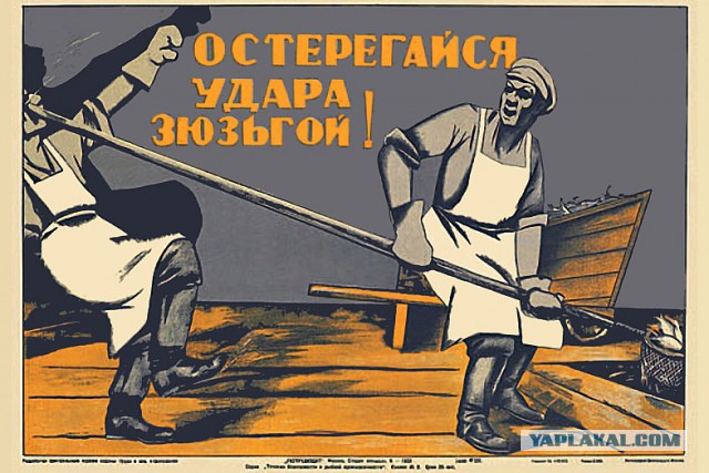 Жизнь домашнего приюта для котеек 36
