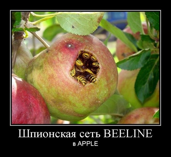 Веселое из сети
