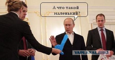 Медведев сделал голубую собачку