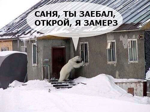 Веселости которые встретились сегодня