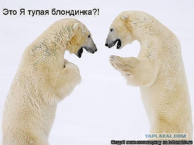 Немного картинок перед понедельником