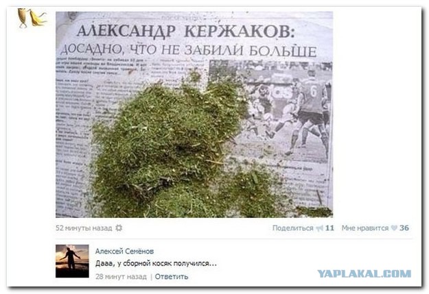 Смешные комментарии из социальных сетей