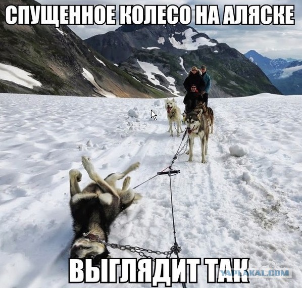 Смешные комментарии 02.08.2015