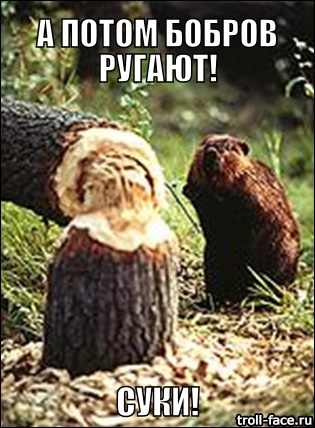 Как срубить дерево ножом