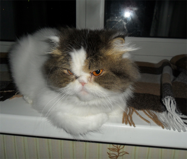 Понедельник день тяжёлый