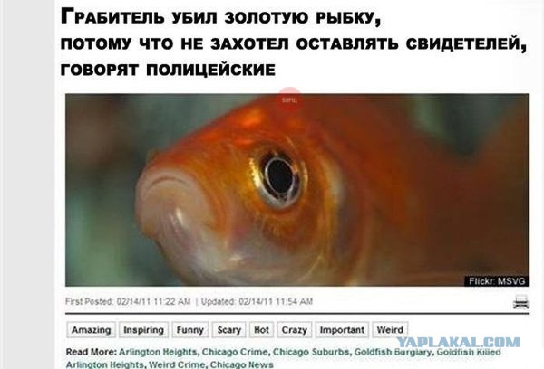 Немного картинок и демотиваторов