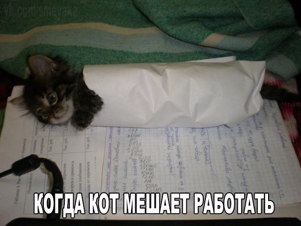 Прикольные картинки