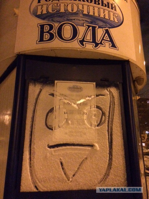 Вечерняя прогулка с дочкой и собакой